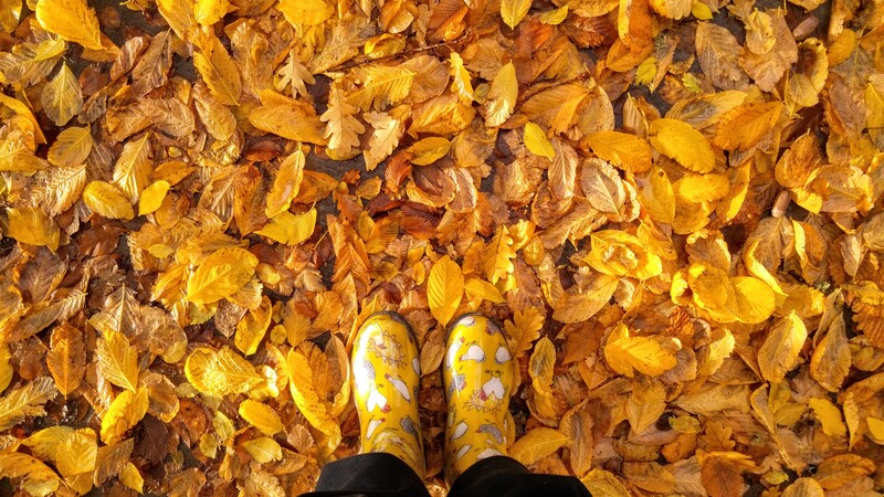 Kei Lin's chicken-print boots amidst the fallen yellow leaves of autumn.